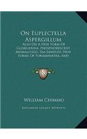 On Euplectella Aspergillum
