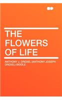 The Flowers of Life: (English)