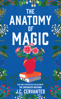 Anatomy of Magic