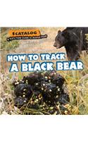 How to Track a Black Bear