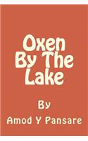 Oxen By The Lake