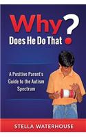 Why Does He Do That?: A Positive Parent's Guide to the Autism Spectrum