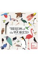 Birds of the World by Pop Chart Lab Wall Calendar 2020