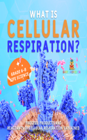 What Is Cellular Respiration? Process, Products and Reactants of Cellular Respiration Explained Grade 6-8 Life Science