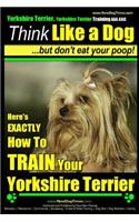 Yorkshire Terrier Dog Training - Think Like a Dog but Don't Eat Your Poop! - Yorkshire Terrier Breed Expert Training