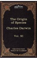 Origin of Species