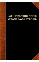 2020 Daily Planner Ben Franklin Quote Dropping Stones Vintage Style 388 Pages