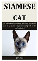 Siamese Cat