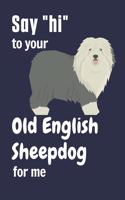 Say "hi" to your Old English Sheepdog for me: For Old English Sheepdog Fans