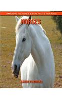 Horses: Amazing Pictures & Fun Facts for Kids