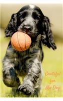 Grateful for My Dog