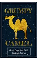 Grumpy Camel