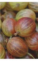 Here, Have a Gooseberry Journal - Oh, Sorry, This Fruit Is Just a Picture: 150 Page Lined Notebook/Diary