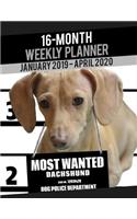 2019-2020 Weekly Planner - Most Wanted Dachshund: Daily Diary Monthly Yearly Calendar Large 8.5" x 11" Schedule Journal Organizer Notebook Appointment