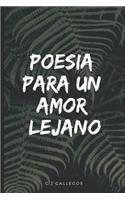 Poesía Para Un Amor Lejano
