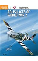 Polish Aces of World War 2