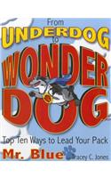 From Underdog to Wonderdog