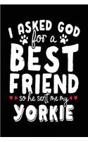 I Asked God For A Best Friend So He Sent Me My Yorkie