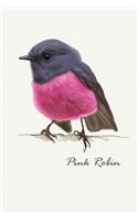 Pink Robin