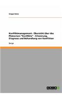 Konfliktmanagement - Übersicht über das Phänomen Konflikte - Erkennung, Diagnose und Behandlung von Konflikten