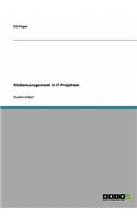 Risikomanagement in It Projekten
