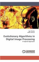 Evolutionary Algorithms in Digital Image Processing
