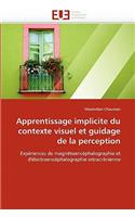 Apprentissage Implicite Du Contexte Visuel Et Guidage de la Perception