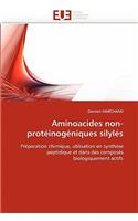 Aminoacides Non-Protéinogéniques Silylés