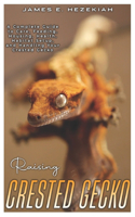 Raising Crested Gecko