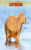 Capibara