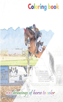 Coloring book 100 drawings of horse to color: a good book of size 6 x 9 inches for hobby, fun, entertainment and colorization of horses drawing for child, student, teen, adult, man and woman