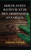 Hoe Planten Weten Wat Ze Zien, Herinneren En Voelen