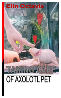 TAKING CARE OF AXLOTL PET