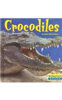 Crocodiles
