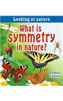 What Is Symmetry in Nature?