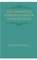 The Conceptual Representation of Consciousness