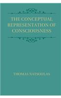 Conceptual Representation of Consciousness