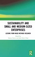 Sustainability and Small and Medium-sized Enterprises