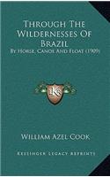 Through The Wildernesses Of Brazil