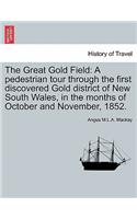 The Great Gold Field