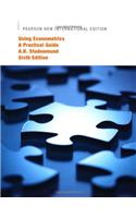 Using Econometrics