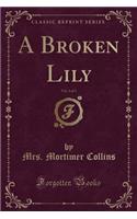 A Broken Lily, Vol. 3 of 3 (Classic Reprint)