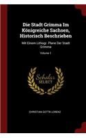 Die Stadt Grimma Im Königreiche Sachsen, Historisch Beschrieben