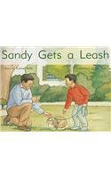 Sandy Gets a Leash