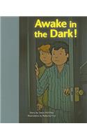 Awake in the Dark!: Individual Student Edition Silver(Rigby PM Stars Bridge Books)