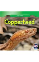 Copperhead