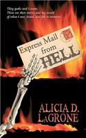 Express Mail from Hell: A Novel