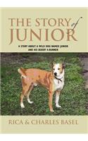 The Story Of Junior