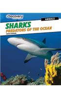 Sharks: Predators of the Ocean