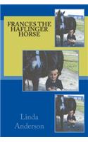 Frances the Haflinger horse